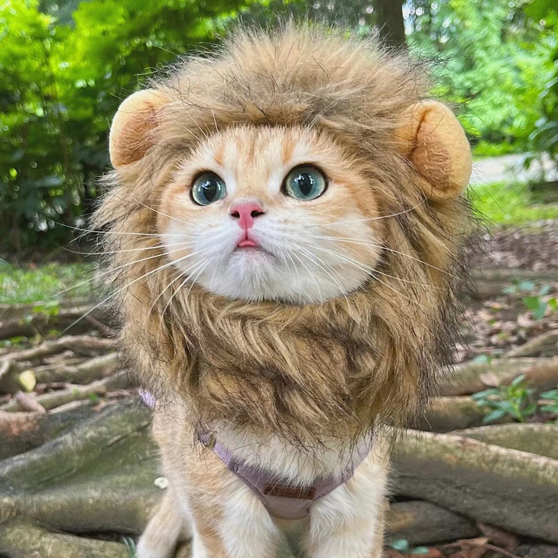 Peruca De Leão / Funny Chapéus para Pet de estimação / Vestir Roupas Fofas / Acessórios De Festa