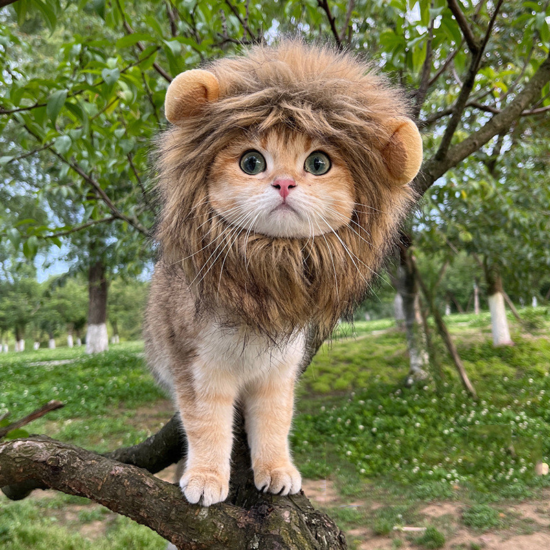 Peruca De Leão / Funny Chapéus para Pet de estimação / Vestir Roupas Fofas / Acessórios De Festa