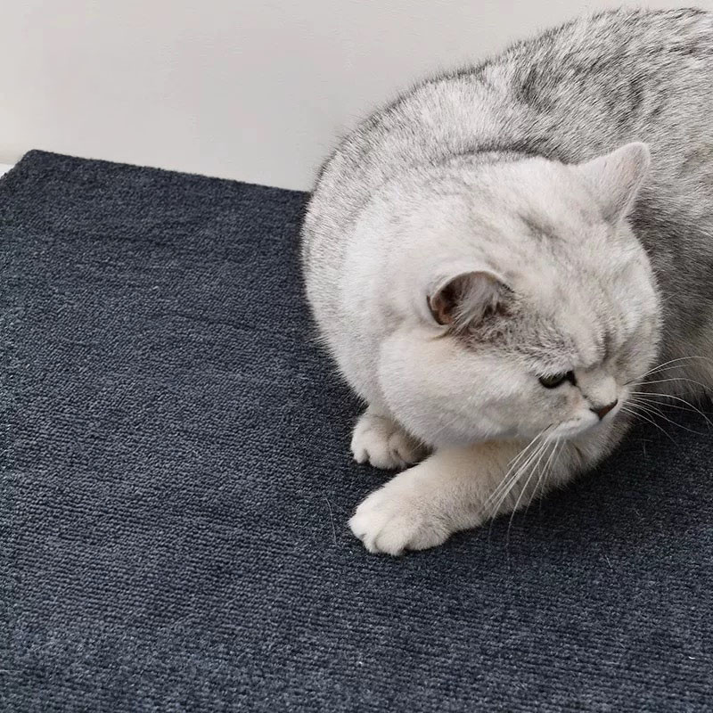 Tapete Arranhador Para Gatos Auto-Adesivo Proteçao Para Sofa Parede Cama