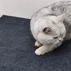 Tapete Arranhador Para Gatos Auto-Adesivo Proteçao Para Sofa Parede Cama