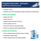 Vitagold Potenciado 20ml Suplemento Vitamina Cães Gatos Aves