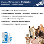 Vitagold Potenciado 20ml Suplemento Vitamina Cães Gatos Aves
