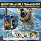 Coleira de Treino para Cães com Controle Remoto, À Prova d'Água 4 Modos– Ideal para Múltiplos Pets