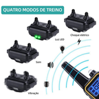 Coleira de Treino para Cães com Controle Remoto, À Prova d'Água 4 Modos– Ideal para Múltiplos Pets
