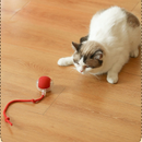 Bola De Brinquedo Elétrica Interativa Para Gatos , Super Drive , Rolante Sensor De Ativação De Movimento , Gatinho Anima
